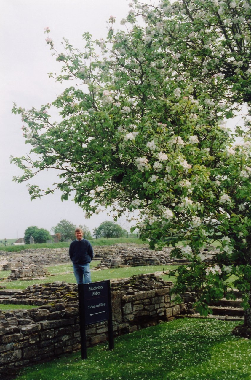 A and M at Muchelney Abbey 2